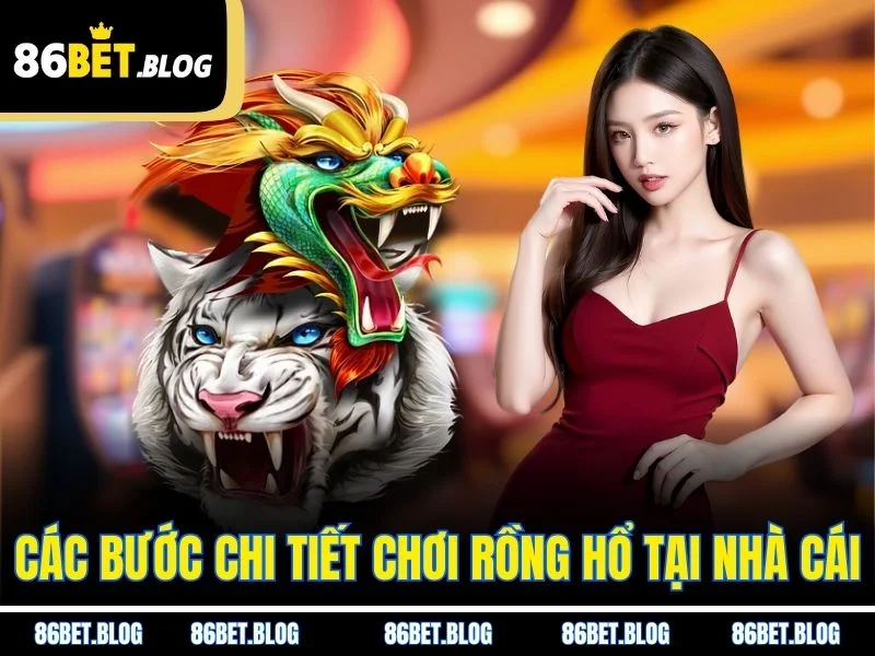 Các bước chi tiết chơi rồng hổ tại nhà cái