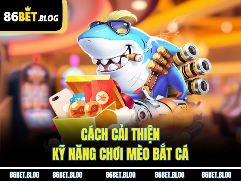 Cách cải thiện kỹ năng chơi mèo bắt cá