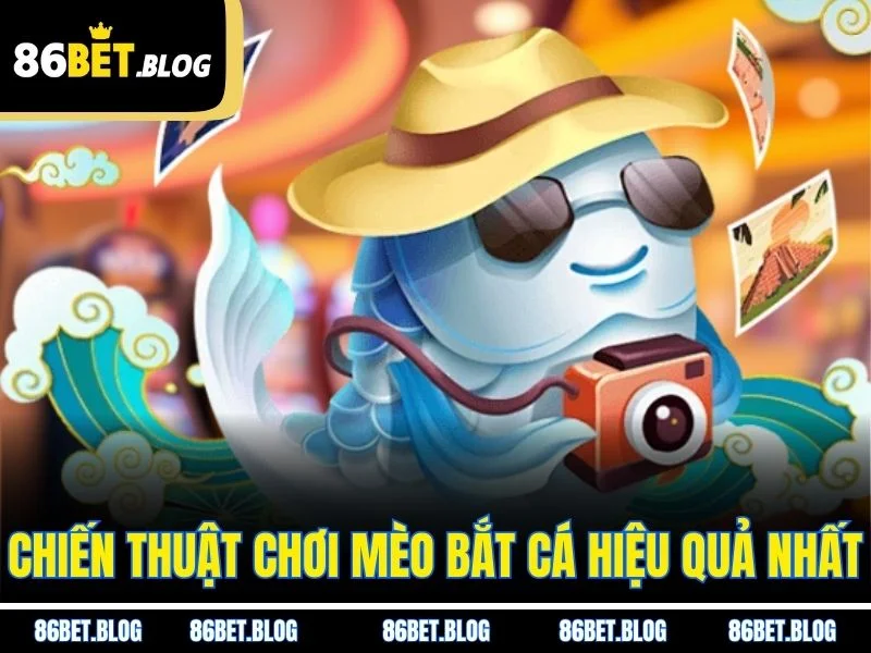 Chiến thuật chơi mèo bắt cá hiệu quả nhất