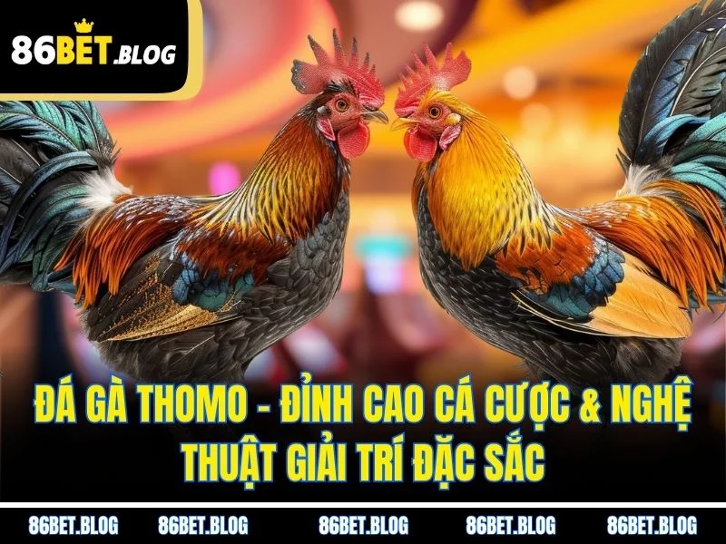 Đá Gà Thomo – Đỉnh Cao Cá Cược & Nghệ Thuật Giải Trí Đặc Sắc