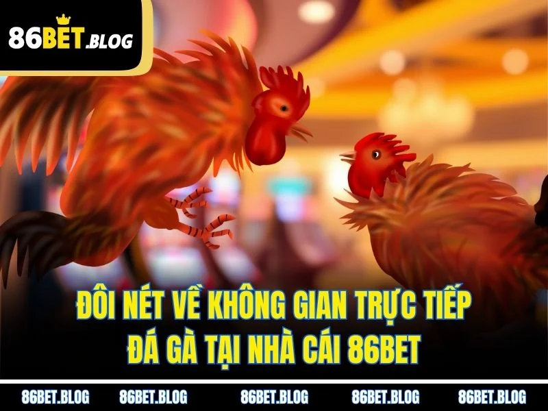 Đôi nét về không gian trực tiếp đá gà tại nhà cái 86BET