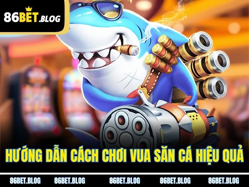 Hướng dẫn cách chơi vua săn cá hiệu quả