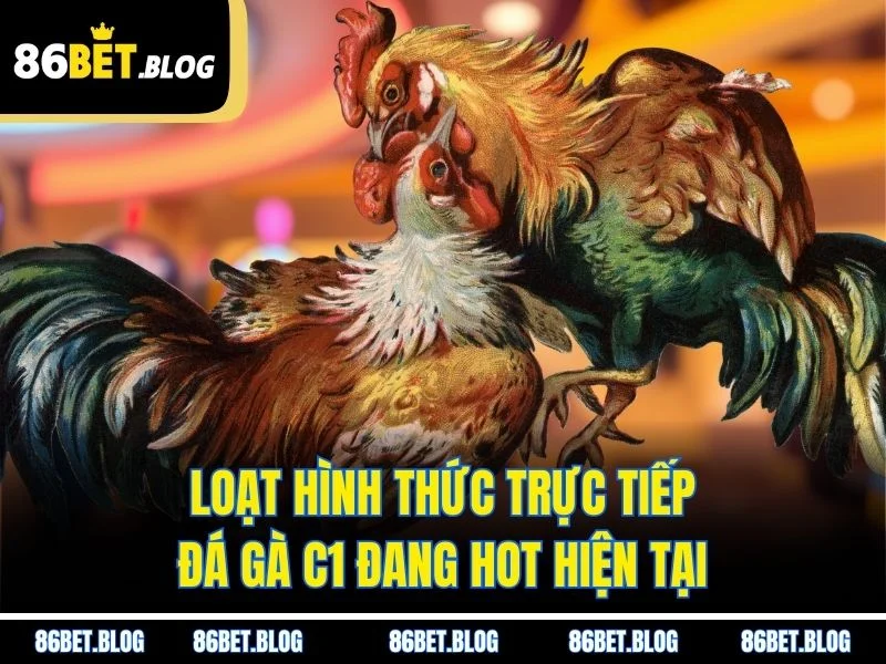Loạt hình thức trực tiếp đá gà C1 đang hot hiện tại