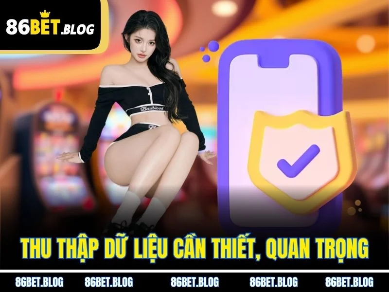 Thu thập dữ liệu cần thiết, quan trọng